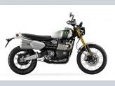 New 2023 Triumph Scrambler XE