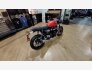 2023 Triumph Speed Twin Breitling Edition for sale 201370492