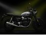 2023 Triumph Speed Twin for sale 201413051