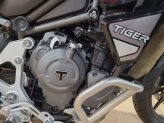 New 2023 Triumph Tiger 1200 GT Explorer