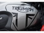 Thumbnail Photo 14 for 2023 Triumph Trident 660