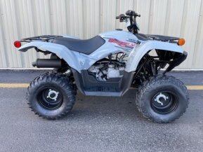 2023 Yamaha Grizzly 90 for sale 201548365