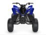 2023 Yamaha Raptor 90 for sale 201403574