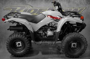 2023 Yamaha Raptor 90 for sale 201529521