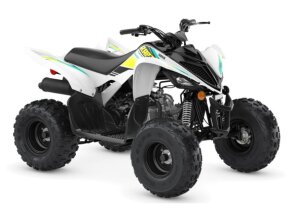 2023 Yamaha Raptor 90 for sale 201557555