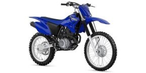 2023 Yamaha TT-R230 for sale 201424167