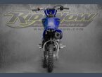 Thumbnail Photo undefined for 2023 Yamaha TT-R50E