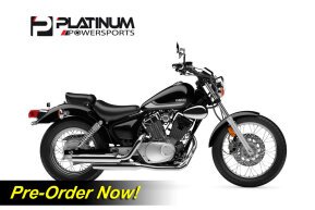 2023 Yamaha V Star 250 for sale 201442268