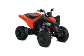 2024 Can-Am DS 250 250 specifications