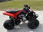2024 Can-Am DS 250 for sale 201557369