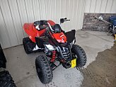 2024 Can-Am DS 250 for sale 201574022