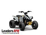2024 Can-Am Renegade 110 for sale 201524999