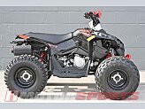 2024 Can-Am Renegade 110 for sale 201553761