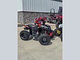 2024 Can-Am Renegade 110 for sale 201606181