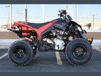 Thumbnail Photo 1 for New 2024 Can-Am DS 250