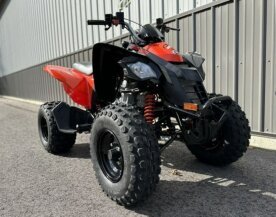 2024 Can-Am DS 250 for sale 201557041