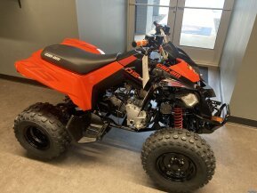 2024 Can-Am DS 250 for sale 201593120