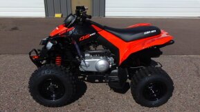 2024 Can-Am DS 250 for sale 201596220
