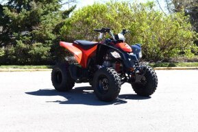 2024 Can-Am DS 250 for sale 201621290
