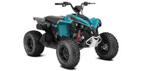 2024 Can-Am Renegade 110 for sale 201554927