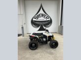New 2024 Can-Am Renegade 110
