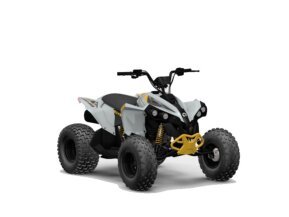 2024 Can-Am Renegade 110 for sale 201576029