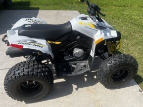 2024 Can-Am Renegade 110 for sale 201592721