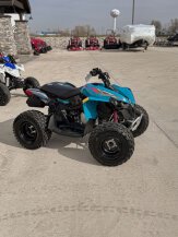 2024 Can-Am Renegade 110 for sale 201606182