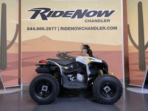 2024 Can-Am Renegade 110 for sale 201623254