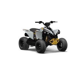 2024 Can-Am Renegade 70 for sale 201519114
