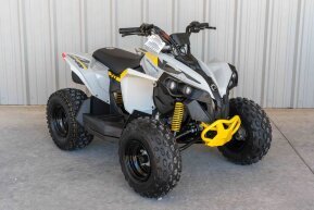 2024 Can-Am Renegade 70 for sale 201564357