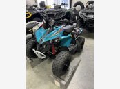 New 2024 Can-Am Renegade 70