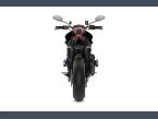 Thumbnail Photo 3 for New 2024 Ducati Monster 937