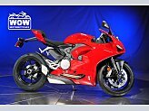 2024 Ducati Panigale V2 for sale 201517563