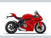 2024 Ducati Panigale V4 for sale 201569172