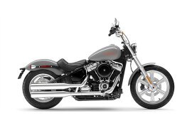 2024 Harley-Davidson Softail Standard specifications