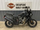 New 2024 Harley-Davidson Pan America Special