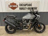 New 2024 Harley-Davidson Pan America Special