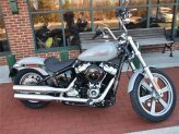 New 2024 Harley-Davidson Softail Standard