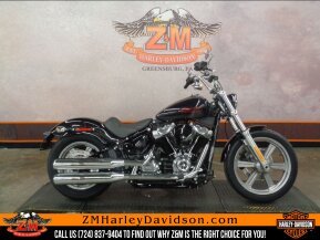 2024 Harley-Davidson Softail Standard for sale 201586963