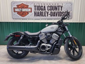 2024 Harley-Davidson Sportster Nightster for sale 201613234