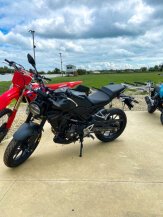 2024 Honda CB300R for sale 201504519