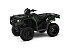 New 2024 Honda FourTrax Foreman Rubicon 4X4 Automatic DCT EPS