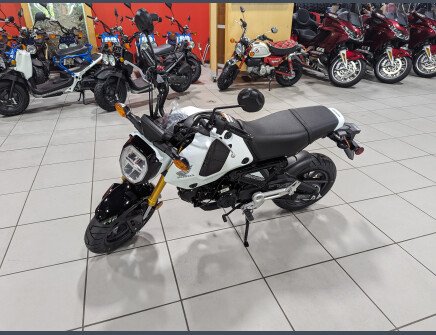 Photo 1 for New 2024 Honda Grom ABS