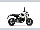 2024 Honda Grom ABS for sale 201603329