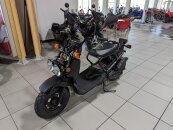 New 2024 Honda Ruckus