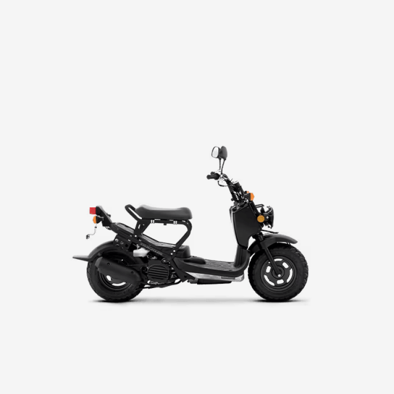 Honda ruckus 250cc on sale for sale