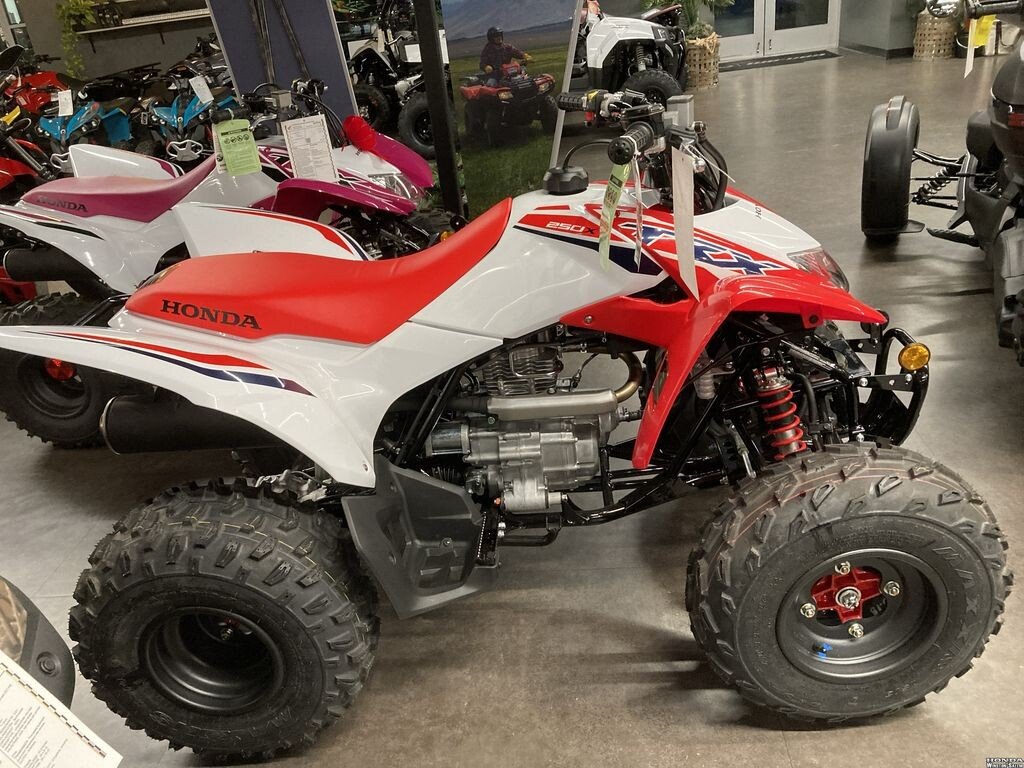 Honda TRX250X Motorcycles for Sale Motorcycles on Autotrader