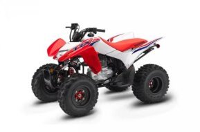 2024 Honda TRX250X for sale 201596340