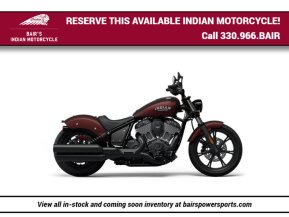 2024 Indian Chief for sale 201597946